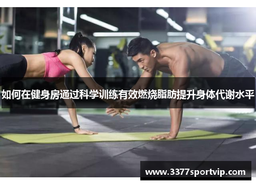 如何在健身房通过科学训练有效燃烧脂肪提升身体代谢水平